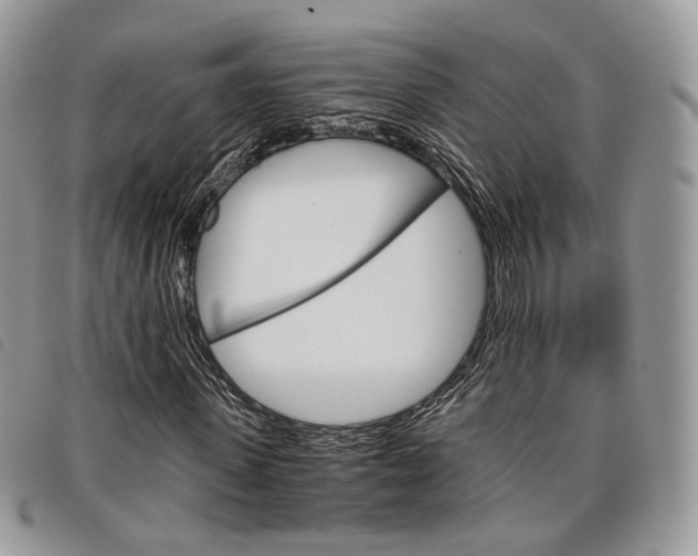 X0000098040915200804071437