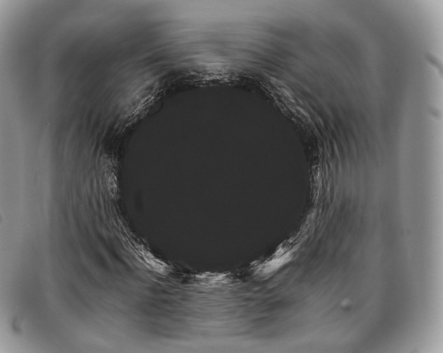 X0000098040916200804071437