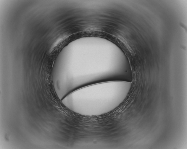 X0000098040919200804071437