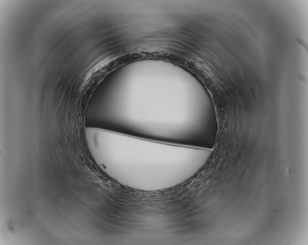 X0000098040920200804071437