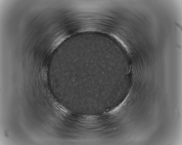 X0000098040921200804071437