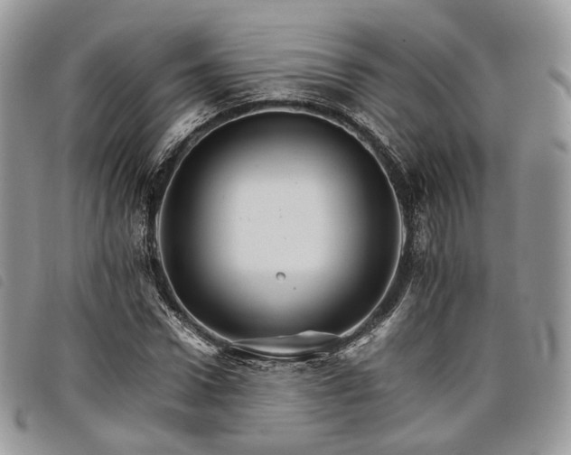 X0000098040922200804071437