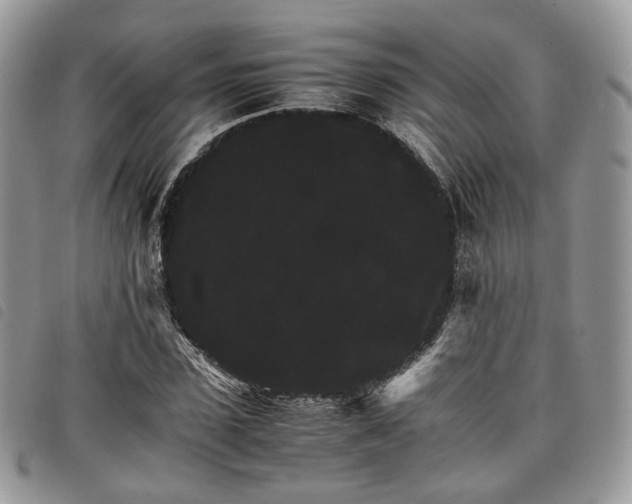 X0000098040923200804071437