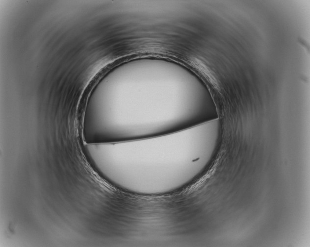 X0000098040924200804071437