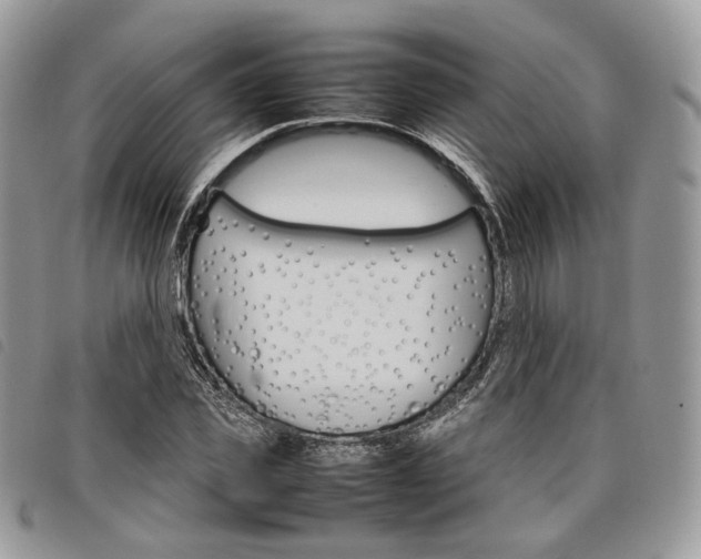X0000098040925200804071437