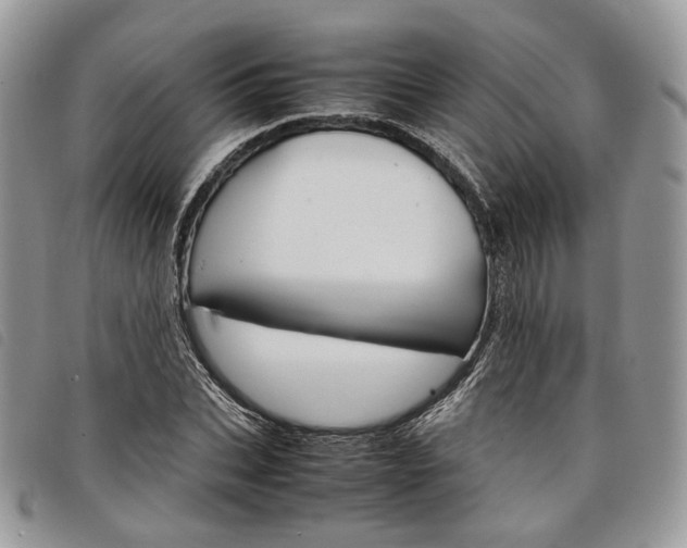 X0000098040927200804071437
