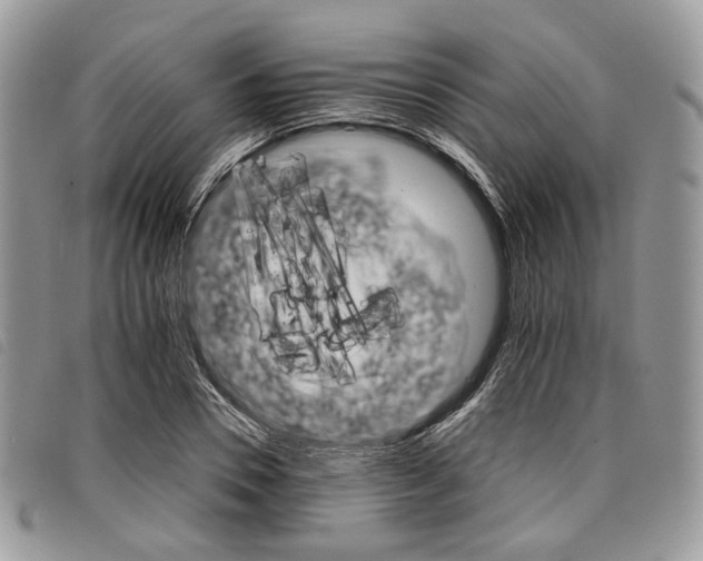 X0000098040930200804071437