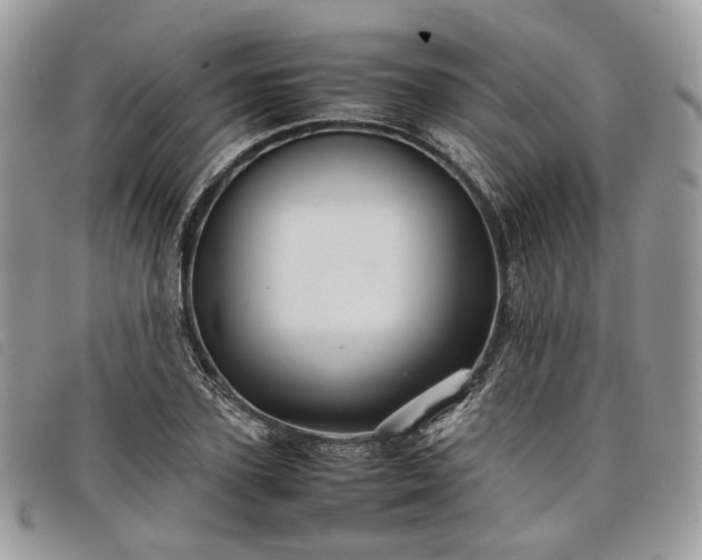 X0000098040931200804071437