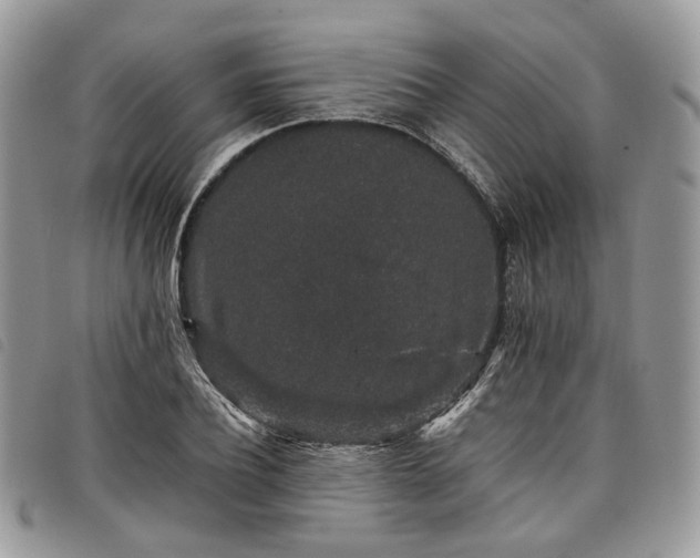 X0000098040932200804071437