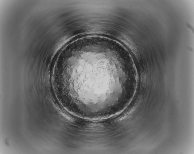 X0000098040933200804071437