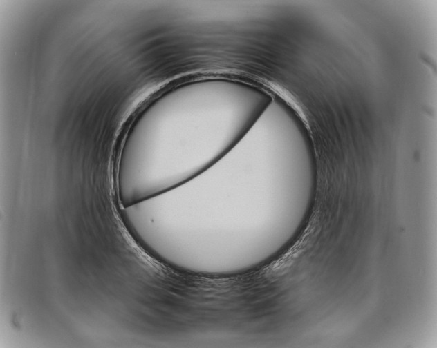 X0000098040935200804071437