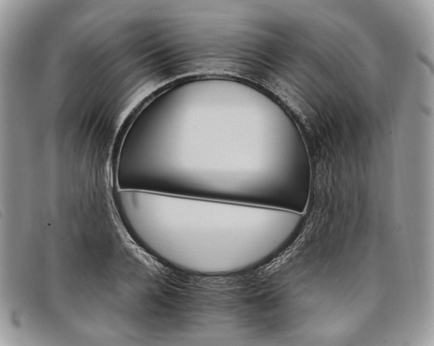 X0000098040936200804071437