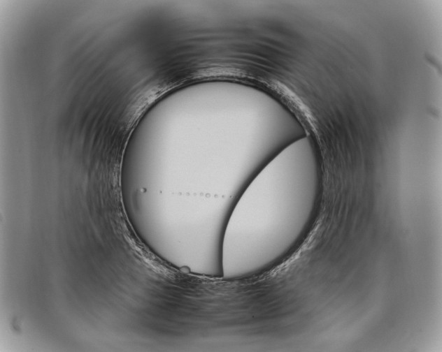 X0000098040937200804071437