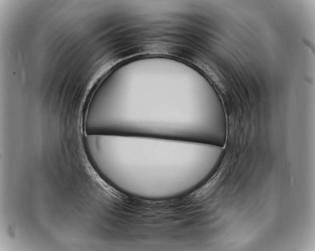 X0000098040939200804071438