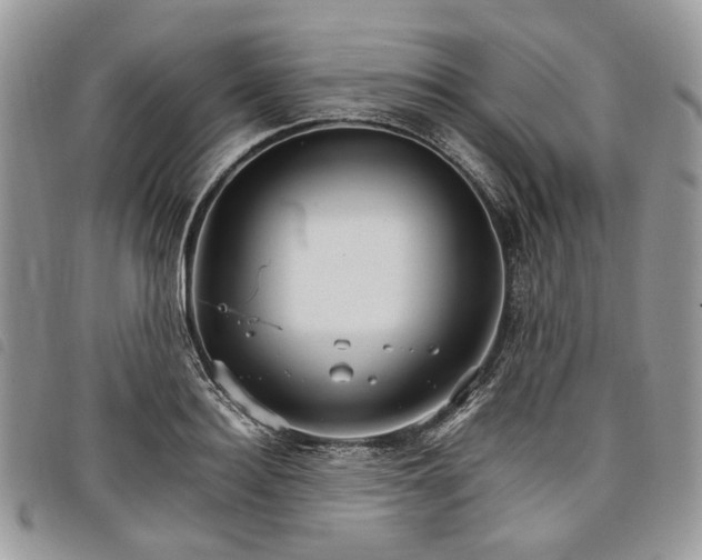 X0000098040940200804071438