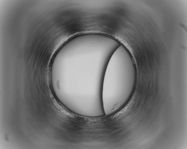 X0000098040941200804071438