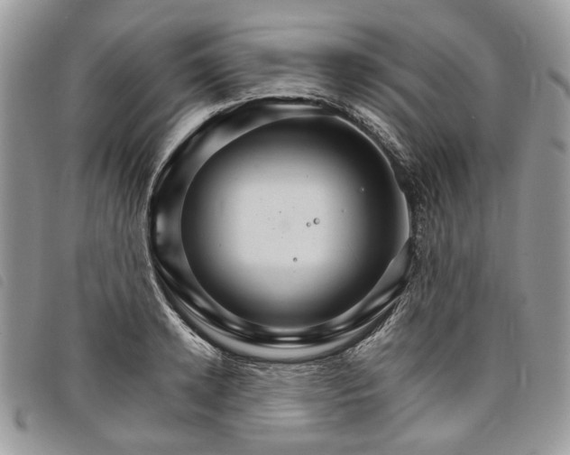 X0000098040942200804071438