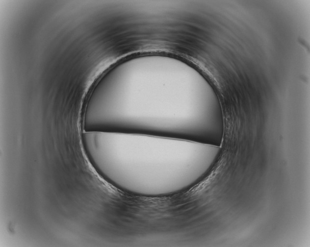 X0000098040943200804071438