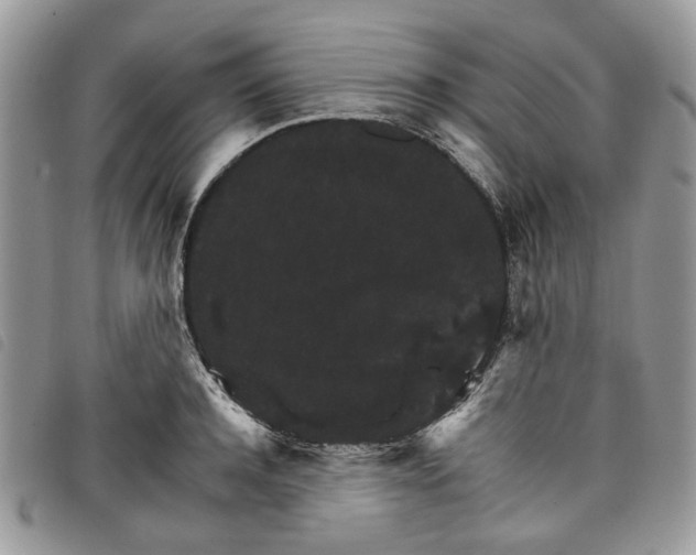 X0000098040944200804071438