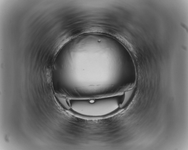 X0000098040945200804071438