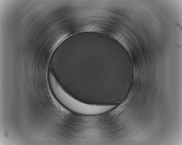 X0000098040946200804071438