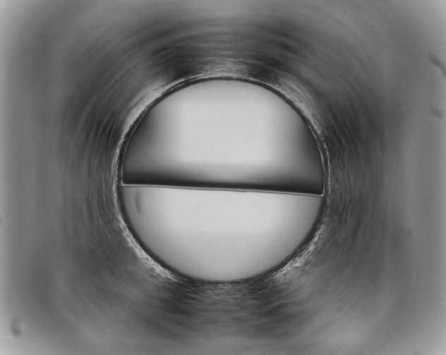X0000098040949200804071438