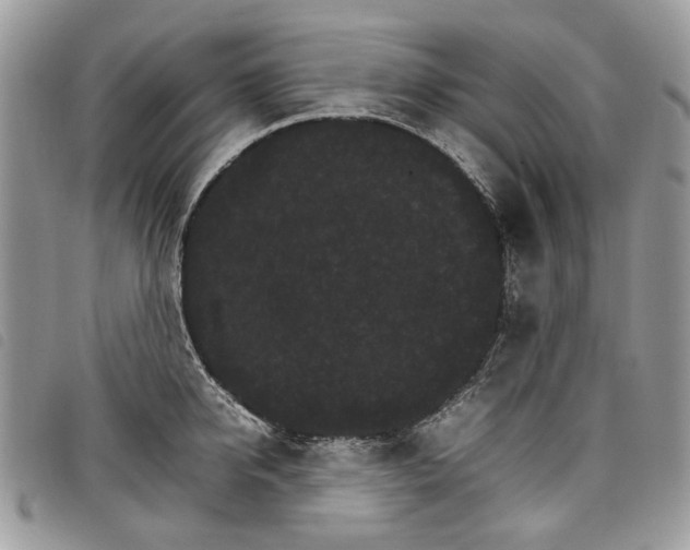 X0000098040950200804071438