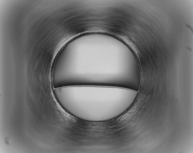 X0000098040951200804071438
