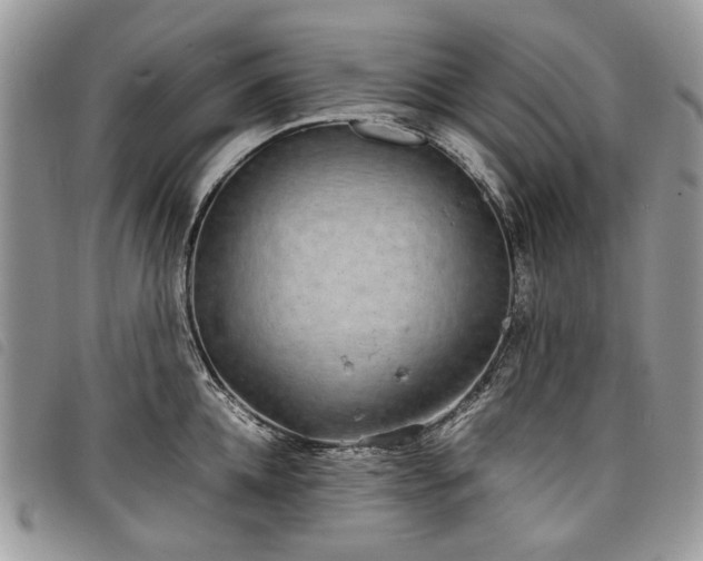 X0000098040952200804071438