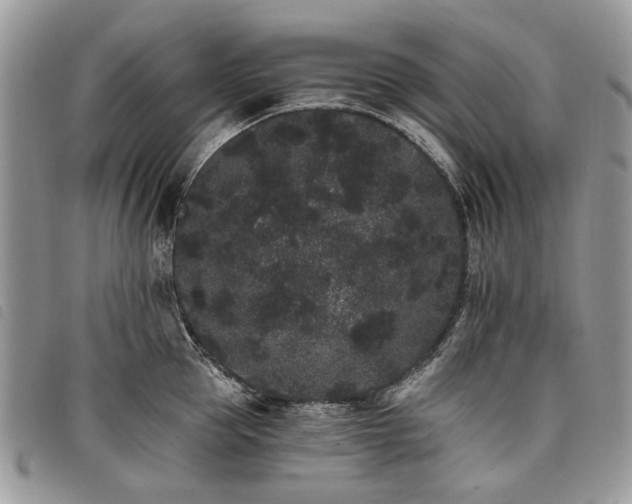 X0000098040953200804071438