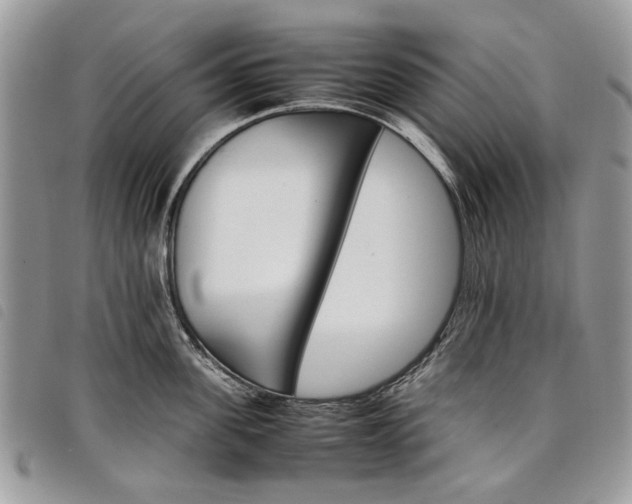X0000098040955200804071438