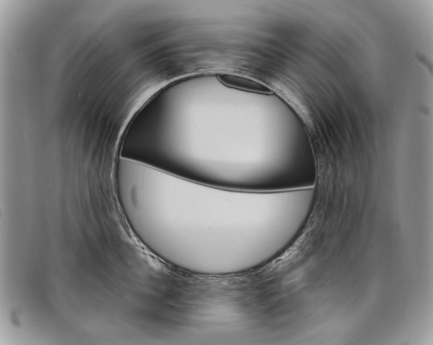 X0000098040956200804071438