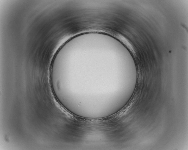 X0000098040958200804071438