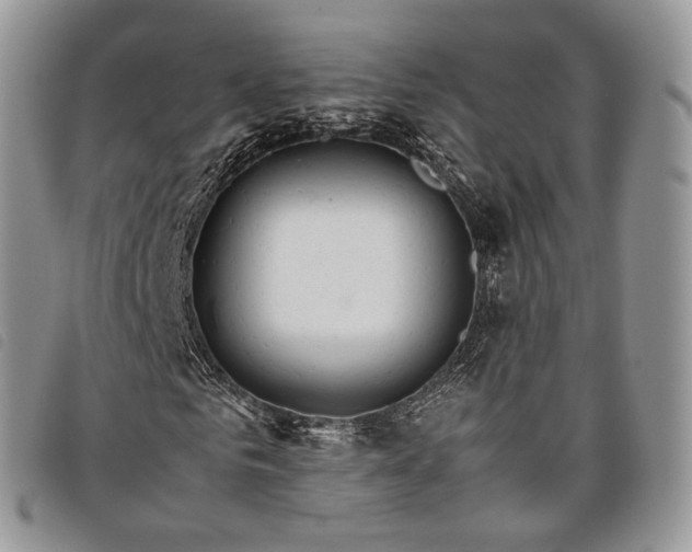 X0000098040961200804071437