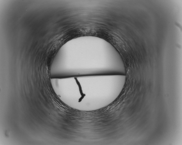X0000098040963200804071437