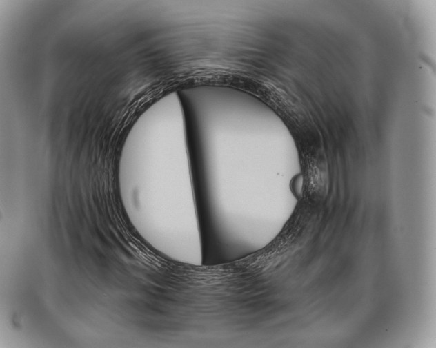 X0000098040964200804071437
