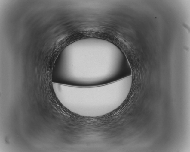 X0000098040965200804071437
