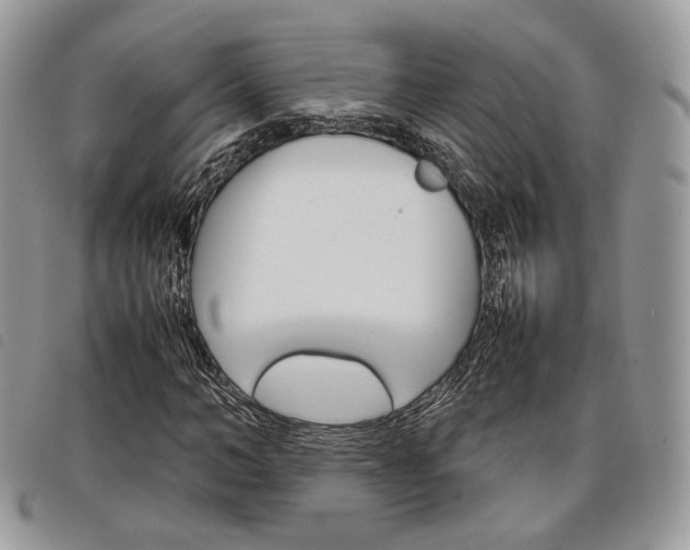 X0000098040966200804071437