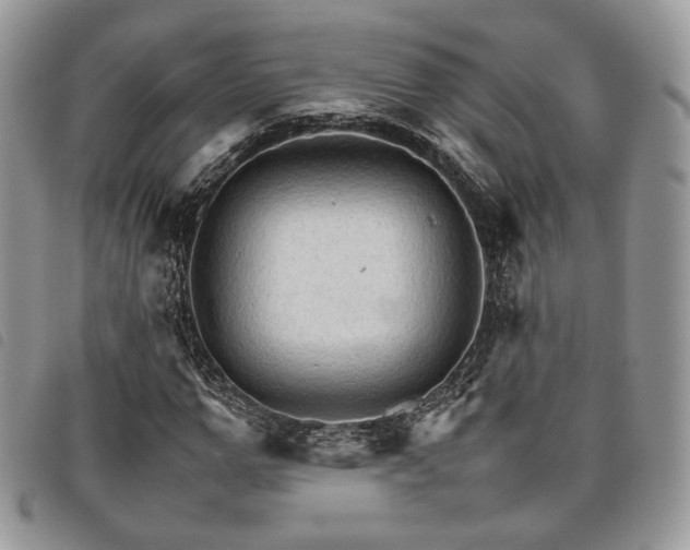 X0000098040967200804071437