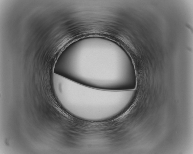 X0000098040969200804071437
