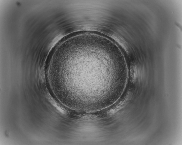 X0000098040972200804071437