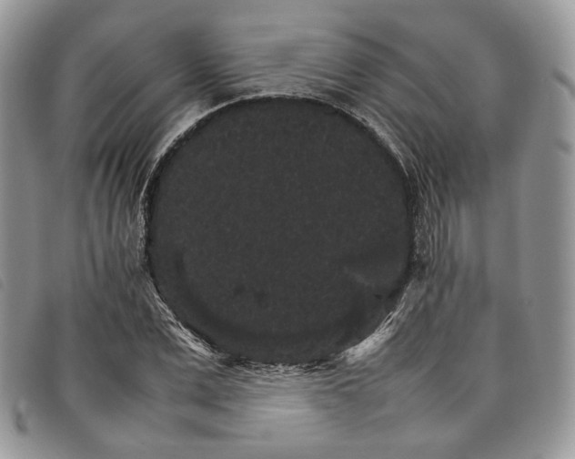 X0000098040975200804071437