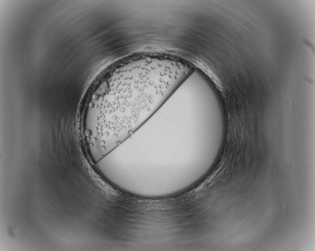 X0000098040976200804071437