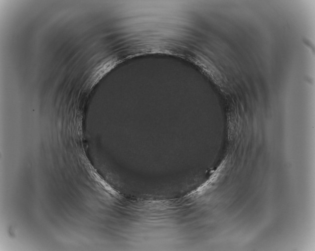 X0000098040977200804071437
