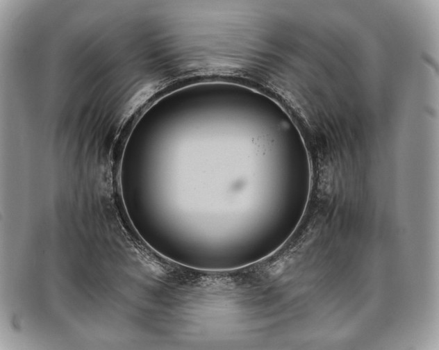 X0000098040978200804071437