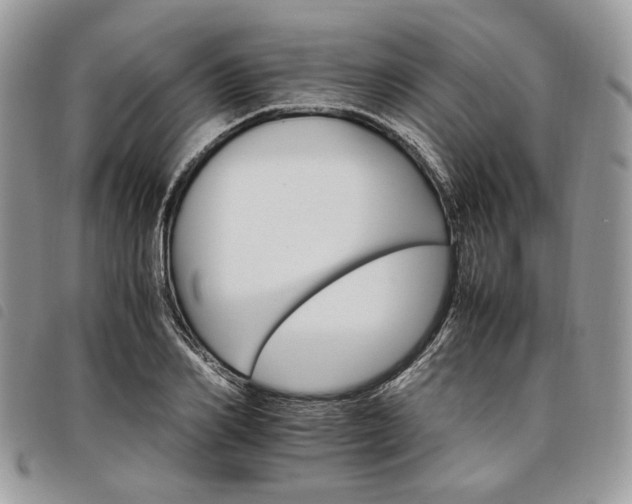 X0000098040982200804071437