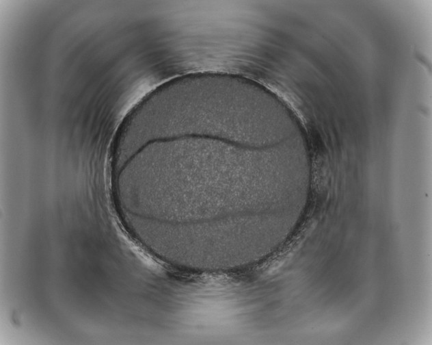 X0000098040983200804071437