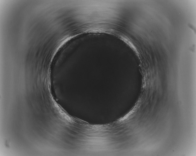 X0000098040984200804071437