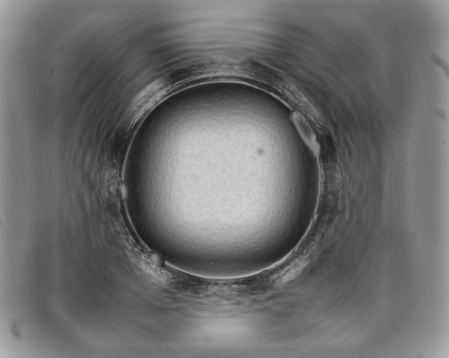 X0000098040985200804071437
