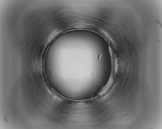 X0000098040986200804071437